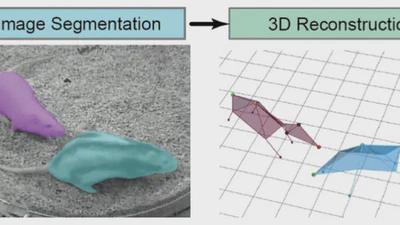 SocialSeq featured image
